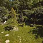 Apartment V Raji